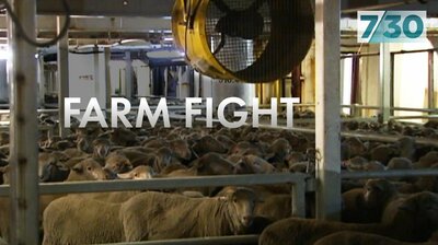 Farm Fight
