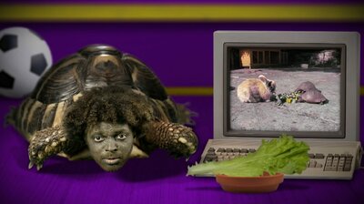 Tortoise vs Hare