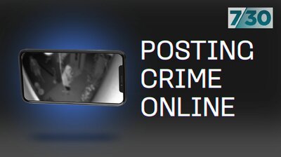 Posting Crime Online