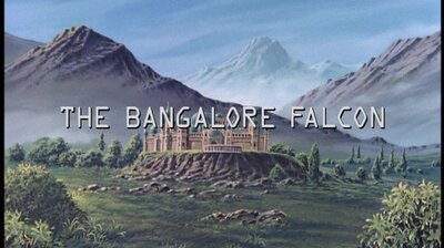 The Bangalore Falcon