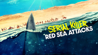 Serial Killer: Red Sea Attacks