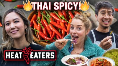 What is 'THAI SPICY?' Massive Thai FEAST + Molly Baz Thai Taco Taste-Test!