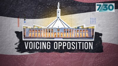 Voicing Opposition