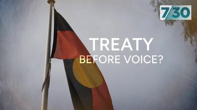 Treaty Before Voice?