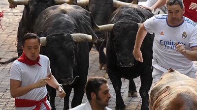 Seeing Red: Running with the Bulls