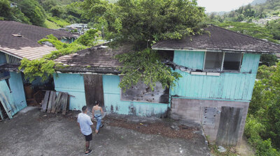 There's a Tree Growing Through the Roof!