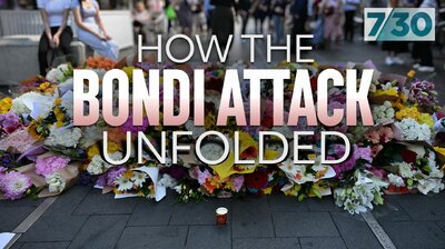 How the Bondi Attack Unfolded