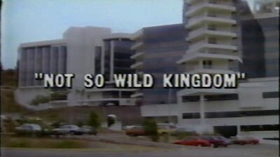 Not So Wild Kingdom