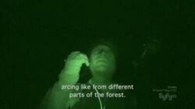 Haunted Forest / Alux