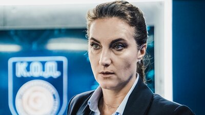 Чистильник
