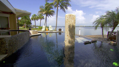 Paradise on the Bay