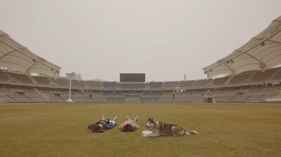 Episode 6