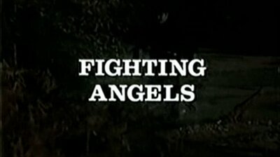 Fighting Angels