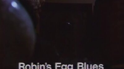 Robin's Egg Blues