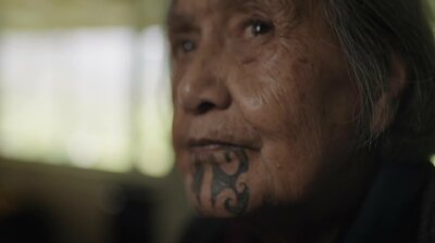 Ponga Whānau