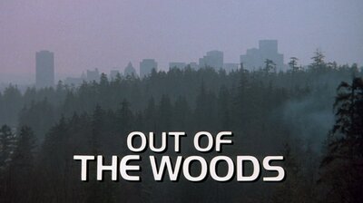 Out of the Woods