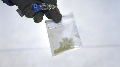 My Big Fat Weed Run