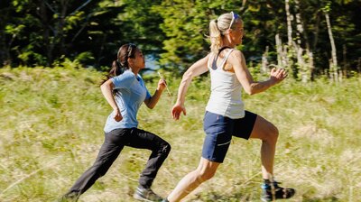 Ulv i fårikål – del 2