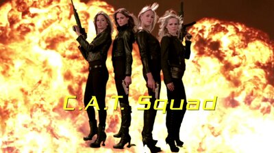 Chuck Versus the C.A.T. Squad