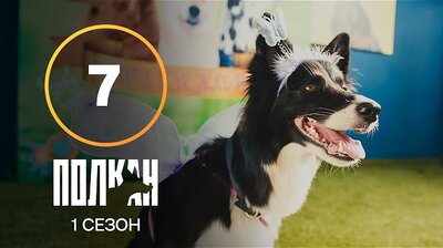 Серия 7