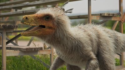 Chickenosaurus Rex