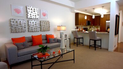 Improve Your Home