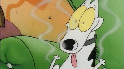 Dirty Dog