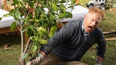 Putting Down Roots