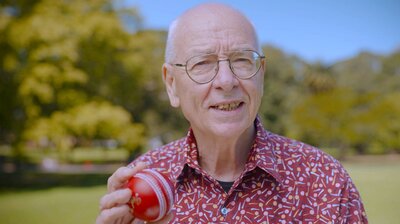 Cricket Balls