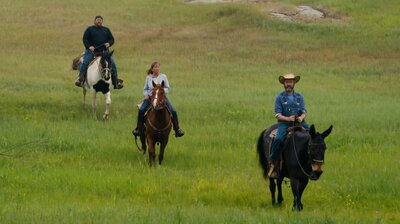 Cowboy Crash Course