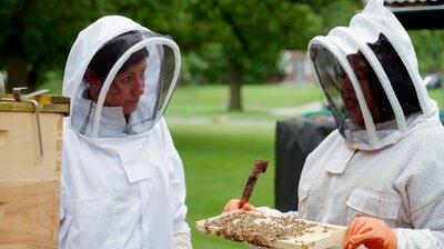 Beehives 101, Step Stool