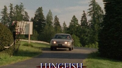 Lungfish