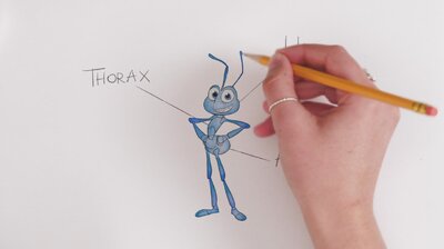 Flik