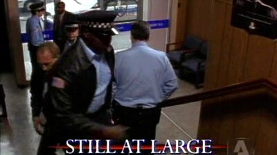 Still at Large