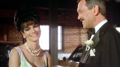 Double Identity - November 8, 1965