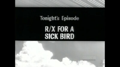 R/X For a Sick Bird