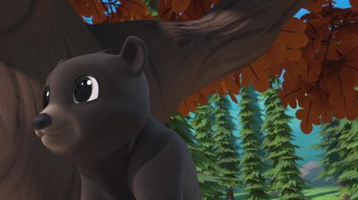 Bed Time Bears and Other Adventures