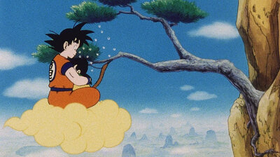 Dragon Ball Z S01E01