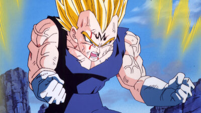 Magic Ball of Buu