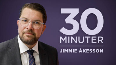 Jimmie Åkesson, partiledare SD