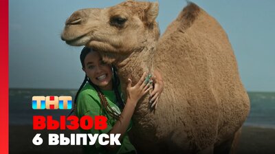 Выпуск 6