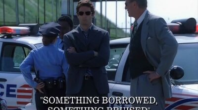 Something Borrowed, Something Bruised
