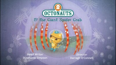 The Giant Spider Crab