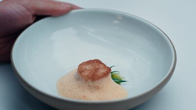 Scallop