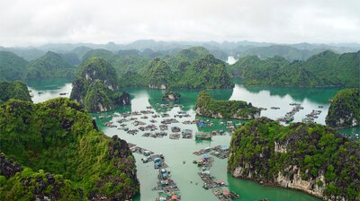 Mysterious North: Land of Mountain Forests