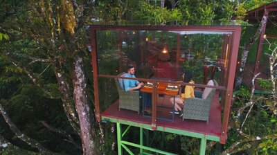 Where the Wild Restaurants Are