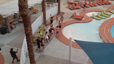 Vacation Gone Wrong