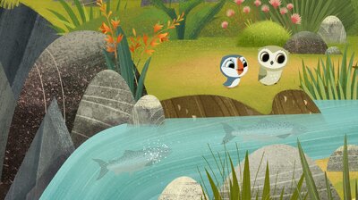 The Salmon Leap