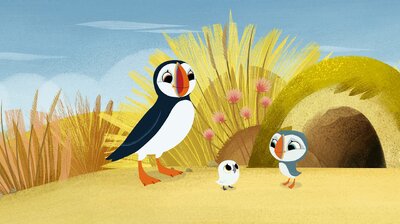 Puffin Treasure