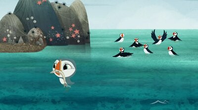 Run, Flap, Fly